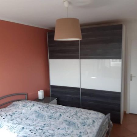Logement Ideal Pour Un Sejour Alsacien En Amoureux Колмар Екстериор снимка
