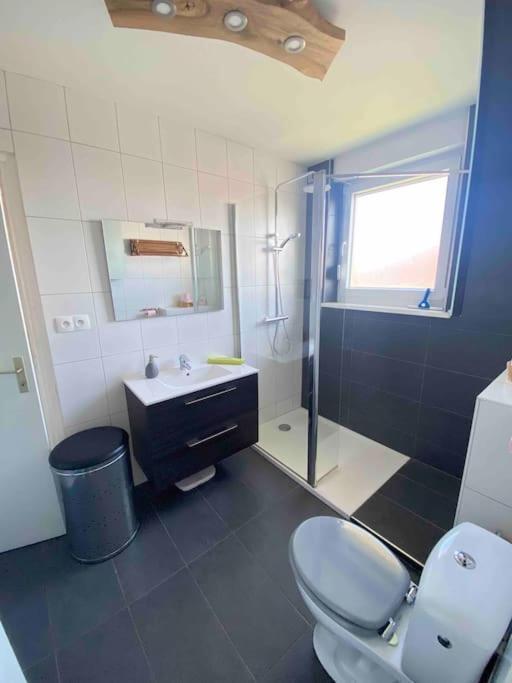 Logement Ideal Pour Un Sejour Alsacien En Amoureux Колмар Екстериор снимка