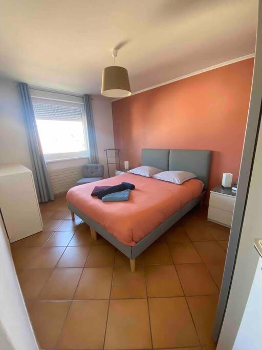 Logement Ideal Pour Un Sejour Alsacien En Amoureux Колмар Екстериор снимка