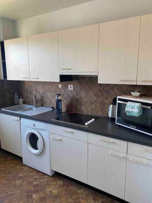 Logement Ideal Pour Un Sejour Alsacien En Amoureux Колмар Екстериор снимка